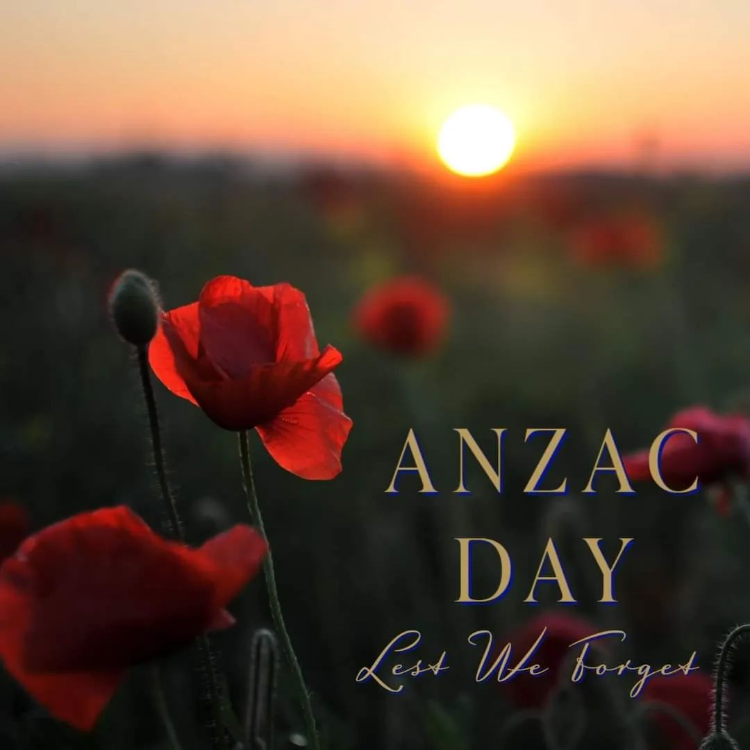 We remember, thank, and thank our fallen heros

They shall grow not old,
as we that are left grow old;
Age shall not weary them,
nor the years condemn.
At the going down of the sun
and in the morning
We will remember them.
We will remember them
Lest we forget

#lestweforget 🌹